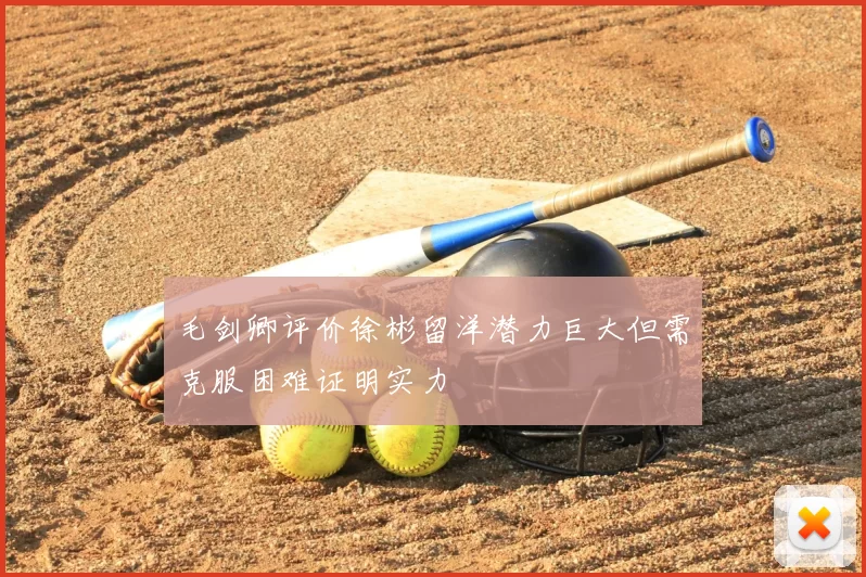 毛剑卿评价徐彬留洋潜力巨大但需克服困难证明实力