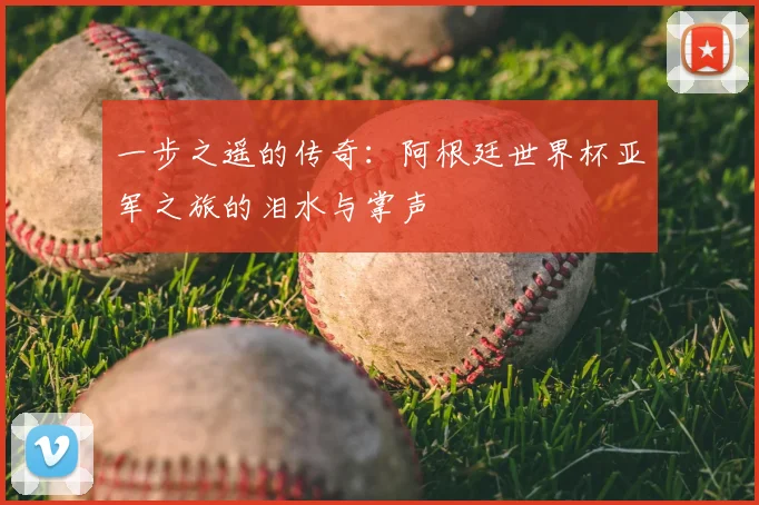 一步之遥的传奇:阿根廷世界杯亚军之旅的泪水与掌声