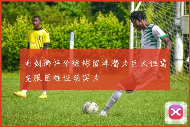 毛剑卿评价徐彬留洋潜力巨大但需克服困难证明实力