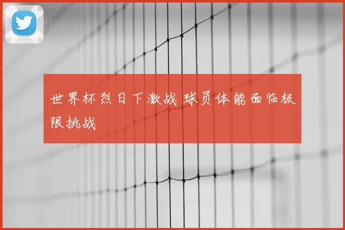 世界杯烈日下激战 球员体能面临极限挑战