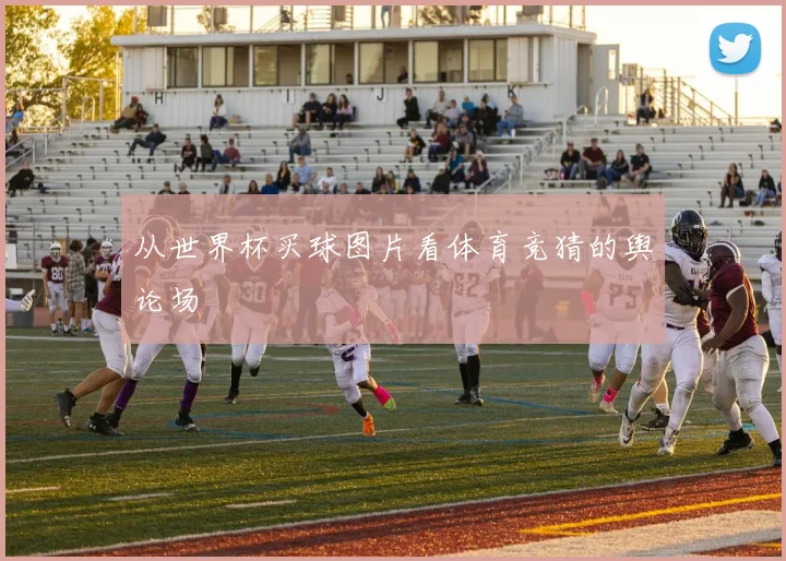 从世界杯买球图片看体育竞猜的舆论场