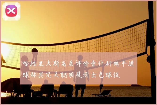 哈格里夫斯高度评价舍什科绝平进球称其完美聪明展现出色球技