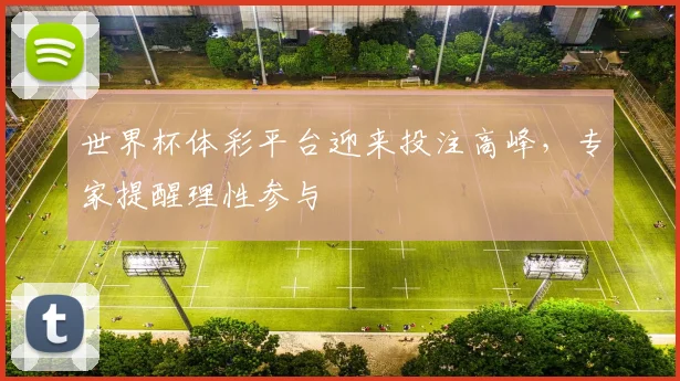 世界杯体彩平台迎来投注高峰，专家提醒理性参与