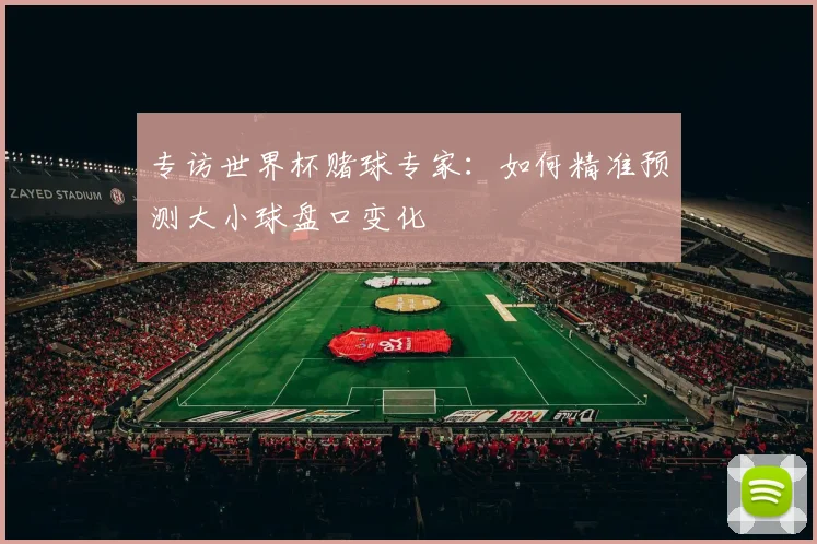 专访世界杯赌球专家:如何精准预测大小球盘口变化