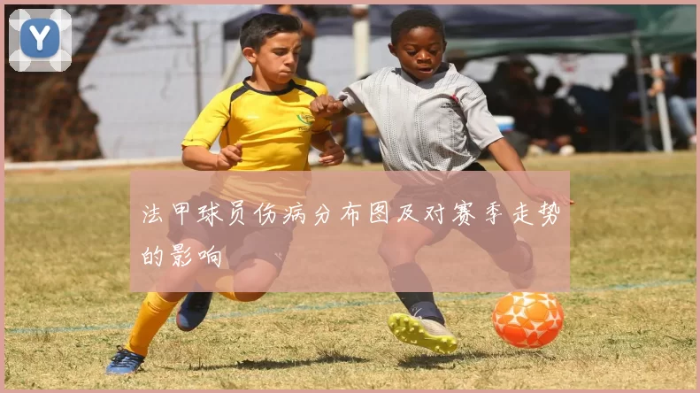 法甲球员伤病分布图及对赛季走势的影响