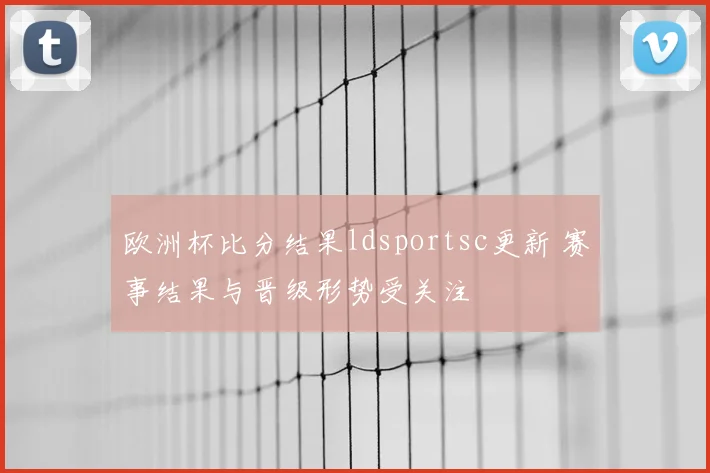 欧洲杯比分结果ldsportsc更新 赛事结果与晋级形势受关注
