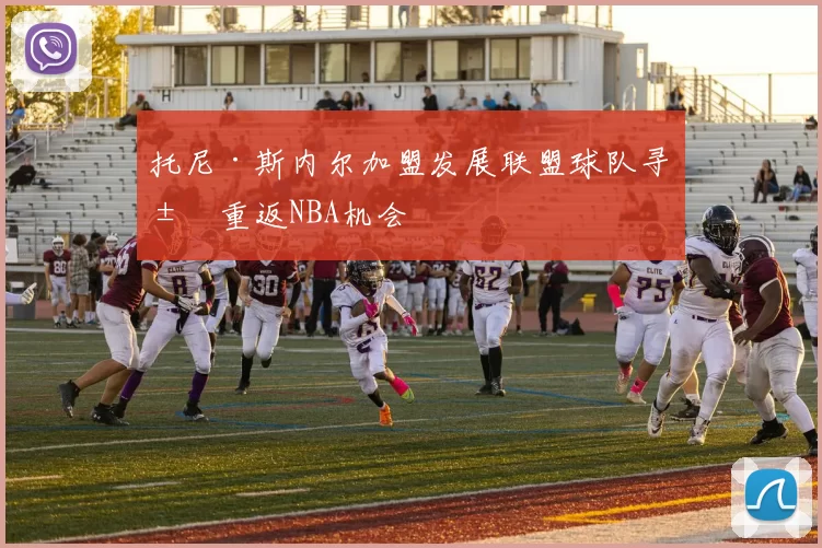托尼·斯内尔加盟发展联盟球队寻求重返NBA机会