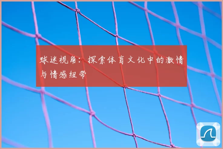 球迷视角：探索体育文化中的激情与情感纽带