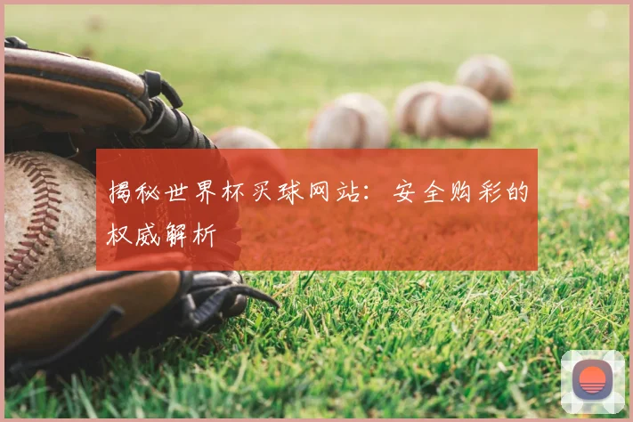 揭秘世界杯买球网站：安全购彩的权威解析