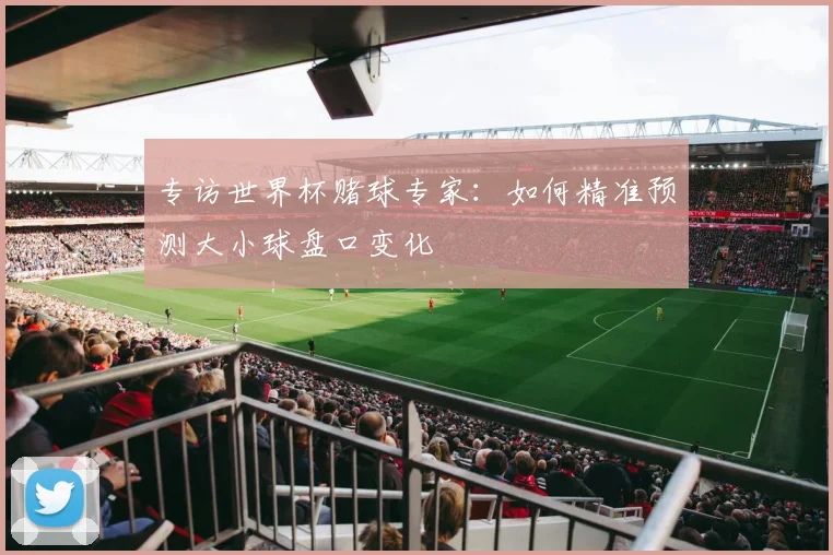 专访世界杯赌球专家:如何精准预测大小球盘口变化