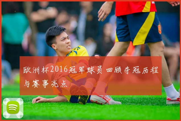 欧洲杯2016冠军球员回顾夺冠历程与赛事亮点