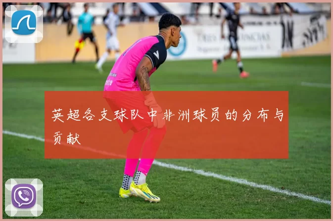 英超各支球队中非洲球员的分布与贡献