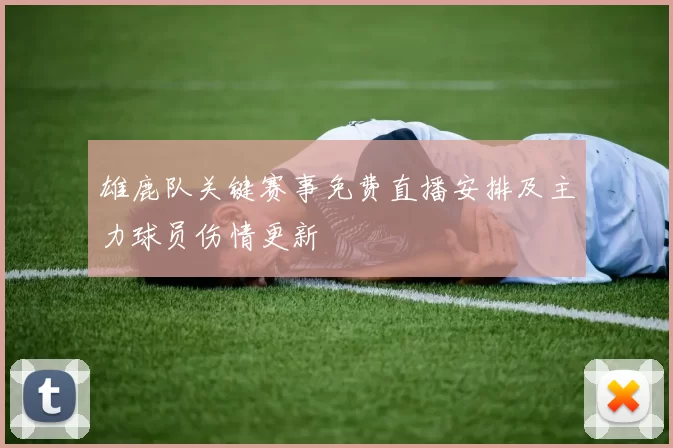 雄鹿队关键赛事免费直播安排及主力球员伤情更新