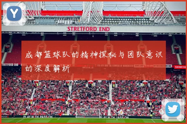 成都篮球队的精神探秘与团队意识的深度解析