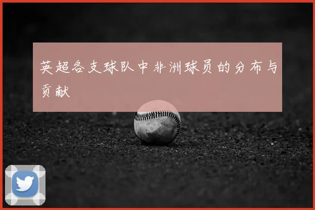 英超各支球队中非洲球员的分布与贡献