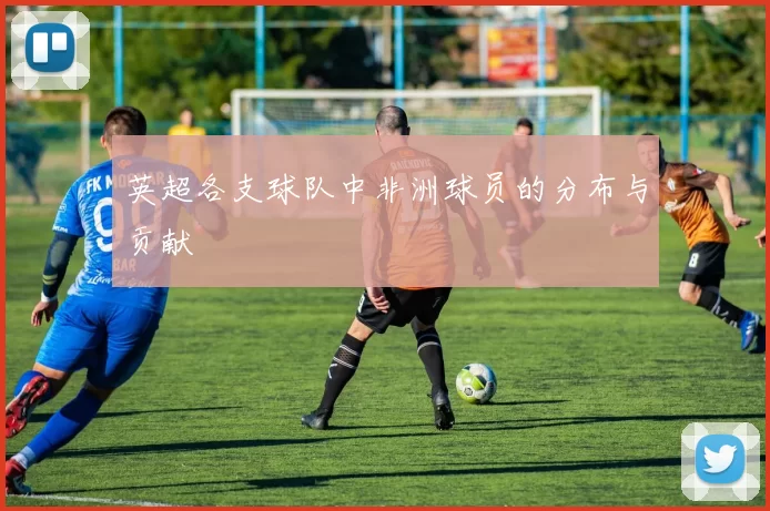 英超各支球队中非洲球员的分布与贡献