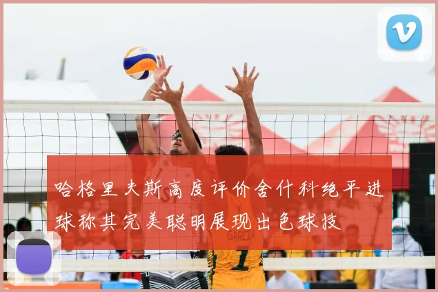 哈格里夫斯高度评价舍什科绝平进球称其完美聪明展现出色球技