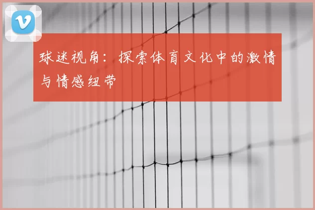 球迷视角：探索体育文化中的激情与情感纽带