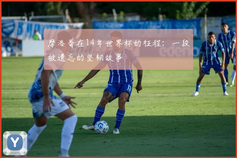 摩洛哥在14年世界杯的征程：一段被遗忘的坚韧故事