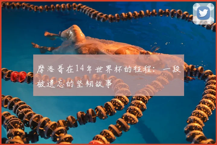 摩洛哥在14年世界杯的征程：一段被遗忘的坚韧故事