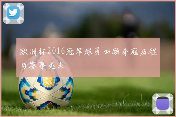 欧洲杯2016冠军球员回顾夺冠历程与赛事亮点