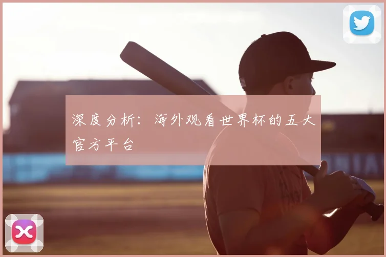 深度分析:海外观看世界杯的五大官方平台