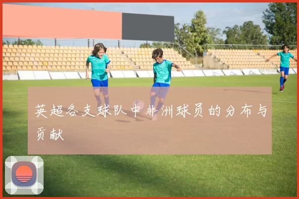 英超各支球队中非洲球员的分布与贡献