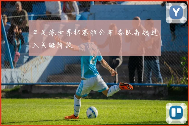 年足球世界杯赛程公布 各队备战进入关键阶段