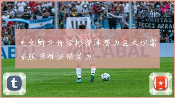 毛剑卿评价徐彬留洋潜力巨大但需克服困难证明实力