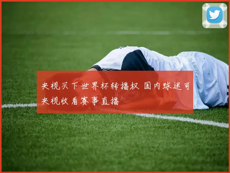 央视买下世界杯转播权 国内球迷可央视收看赛事直播